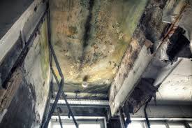 Best Mold Documentation for Insurance Claims  in Jackson, MS